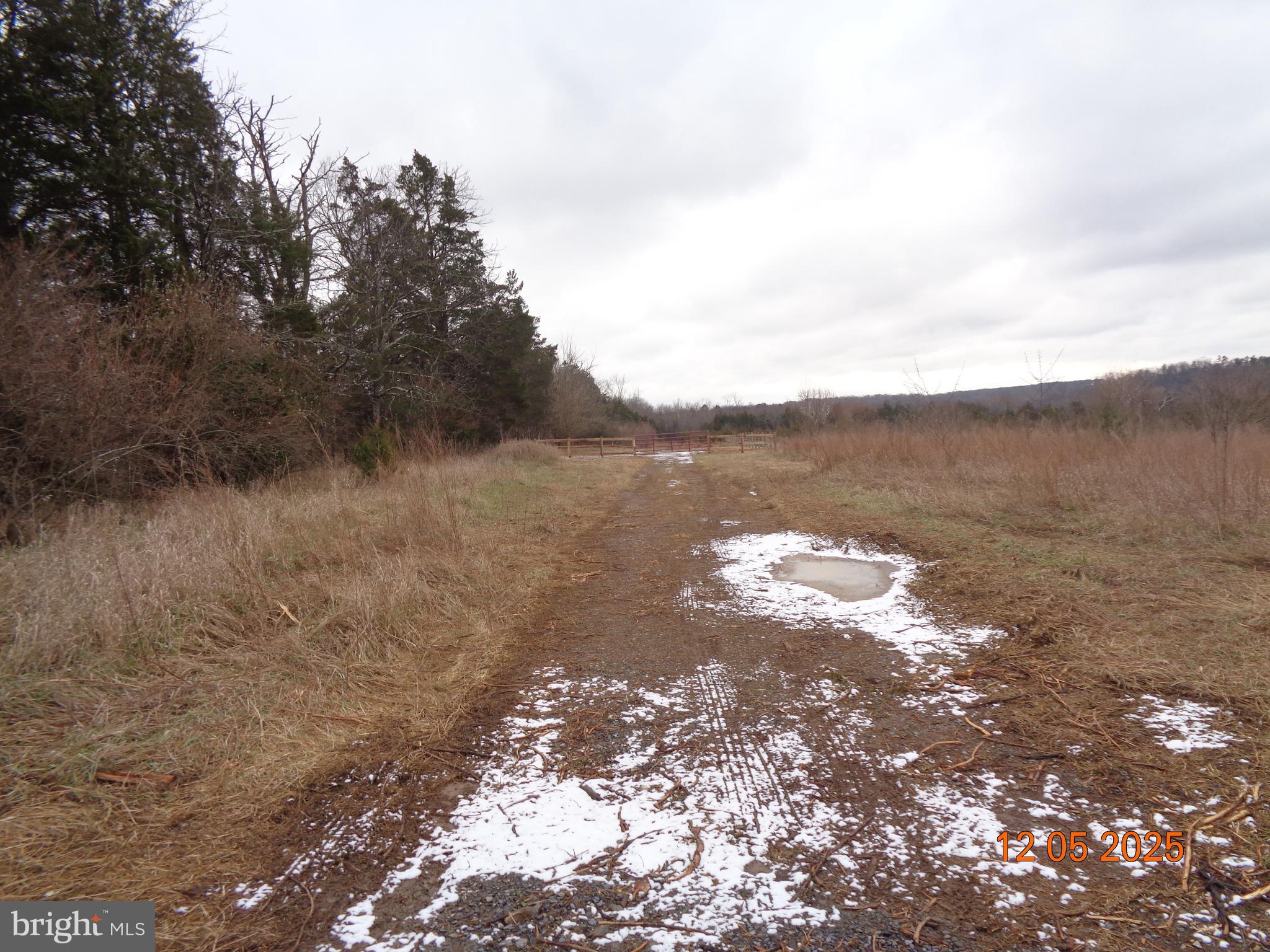Lot 3 Martin Payne Road Kearneysville, WV 25430 - Photo 3 of 4 a view of a dry yard with trees