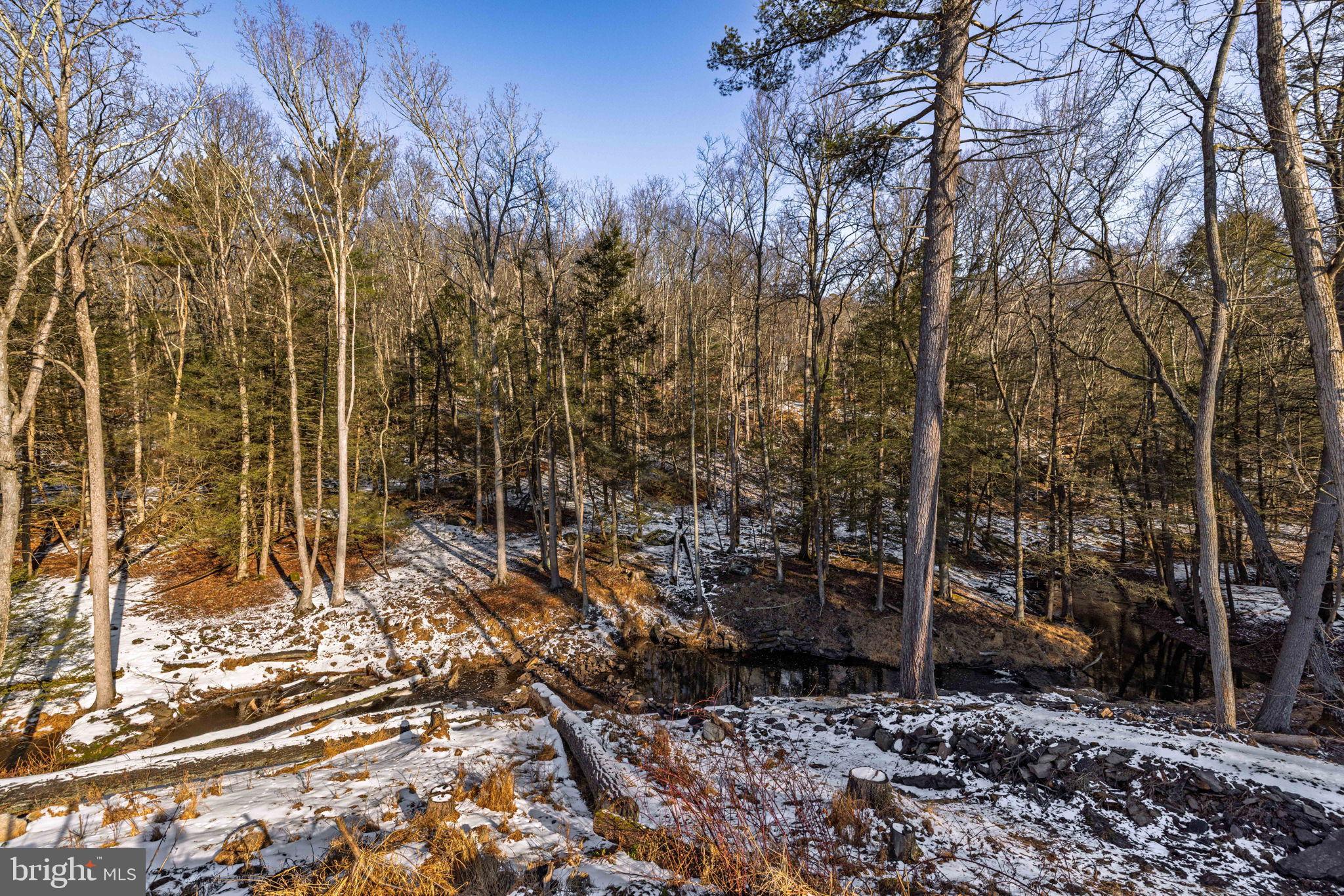 854 Lily Lake Road Wapwallopen, PA 18660 - Photo 35 of 36 Winter's embrace in a tranquil woodland scene.