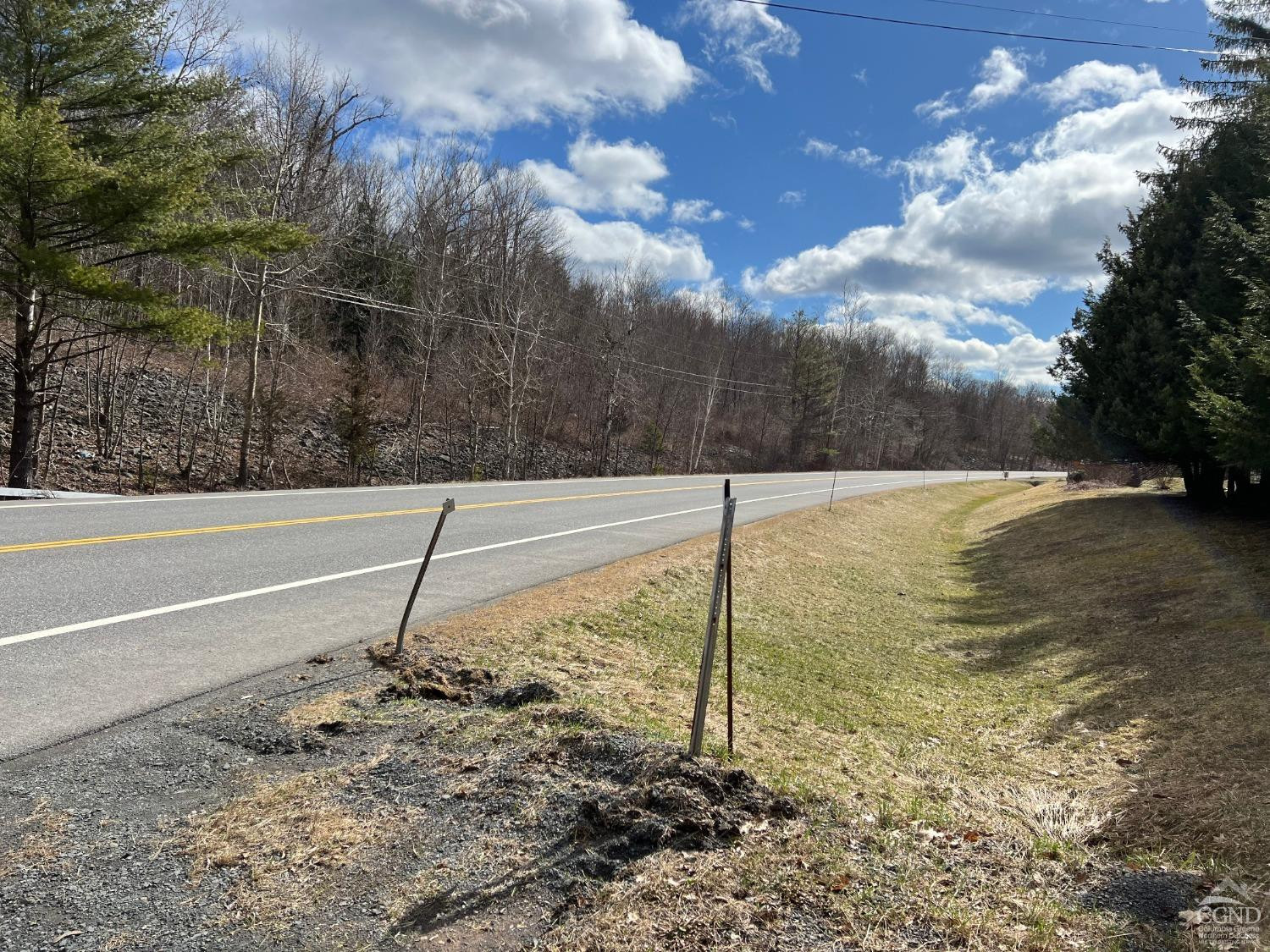 0 Route 23a Road Prattsville, NY 12468 - Photo 17 of 18 Photo 16