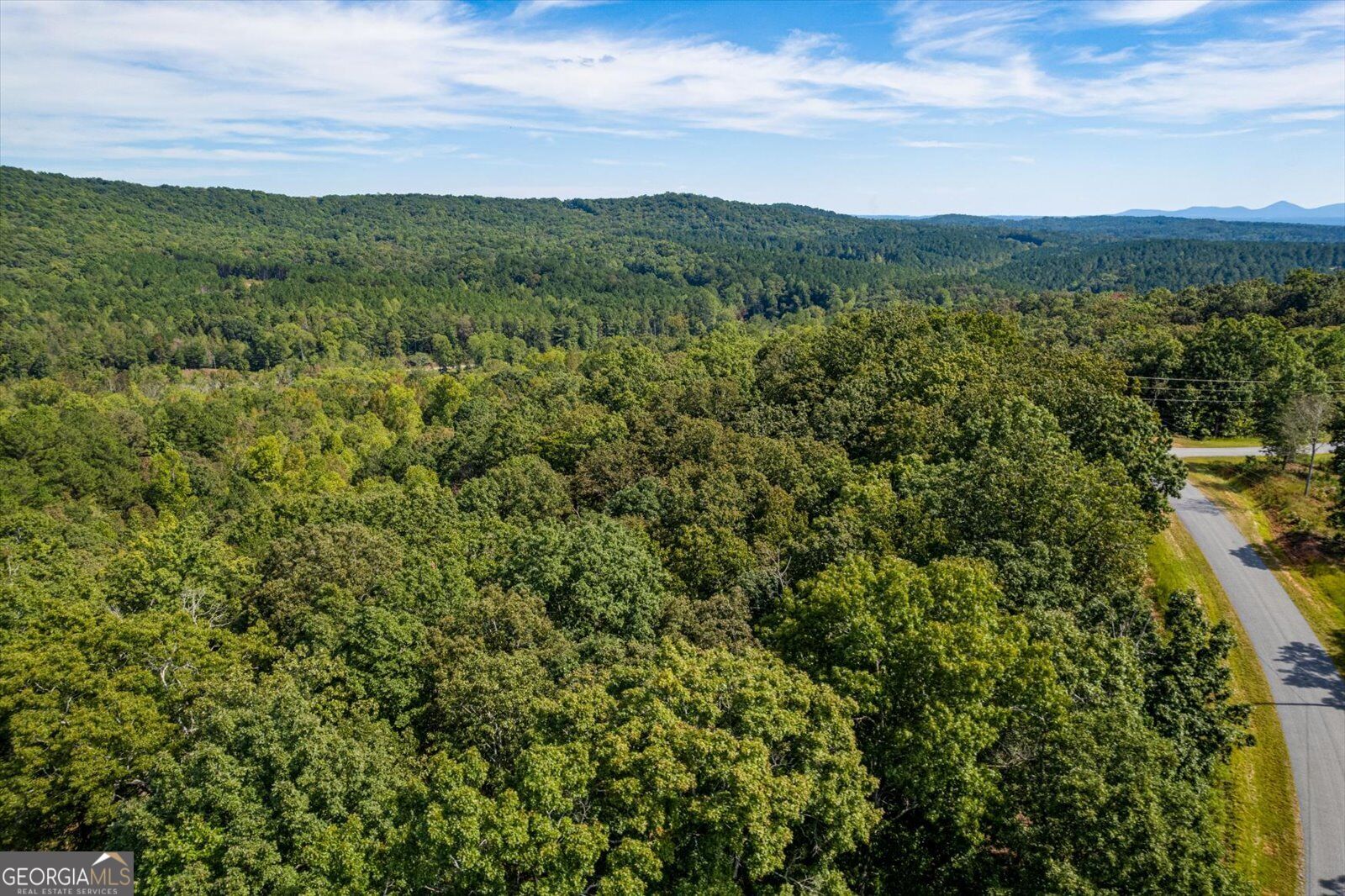 Lot 3 Blalock Mountain Road Talking Rock, GA 30175 - Photo 18 of 31 Gallery Image 18