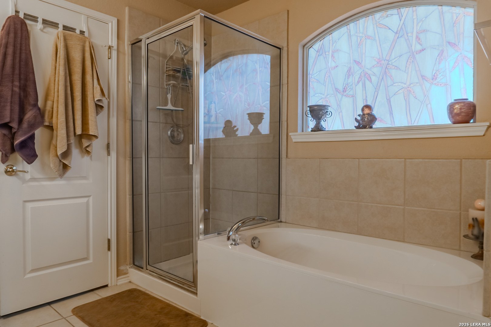 144 Running Cibolo, TX 78108 - Photo 38 of 46