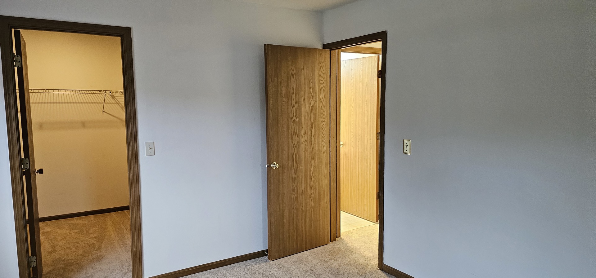 301 Village Creek Drive, Unit 2A Lake In The Hills, IL 60156 - Photo 13 of 31 a view of walk in closet