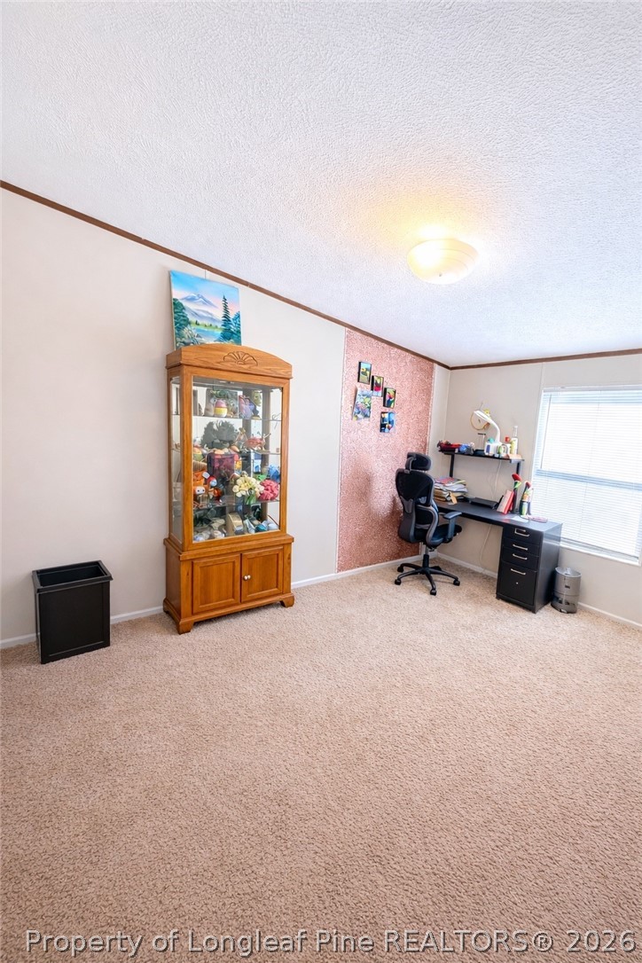 466 Ralph Hunt Boulevard Orrum, NC 28369 - Photo 14 of 20