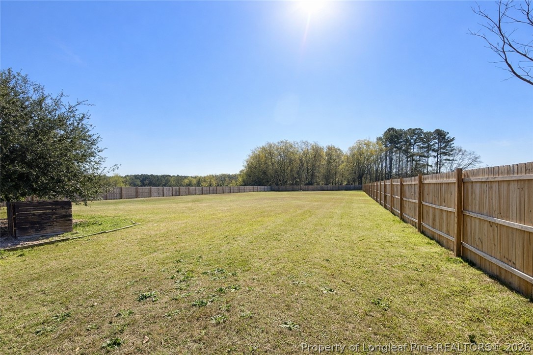 466 Ralph Hunt Boulevard Orrum, NC 28369 - Photo 19 of 20