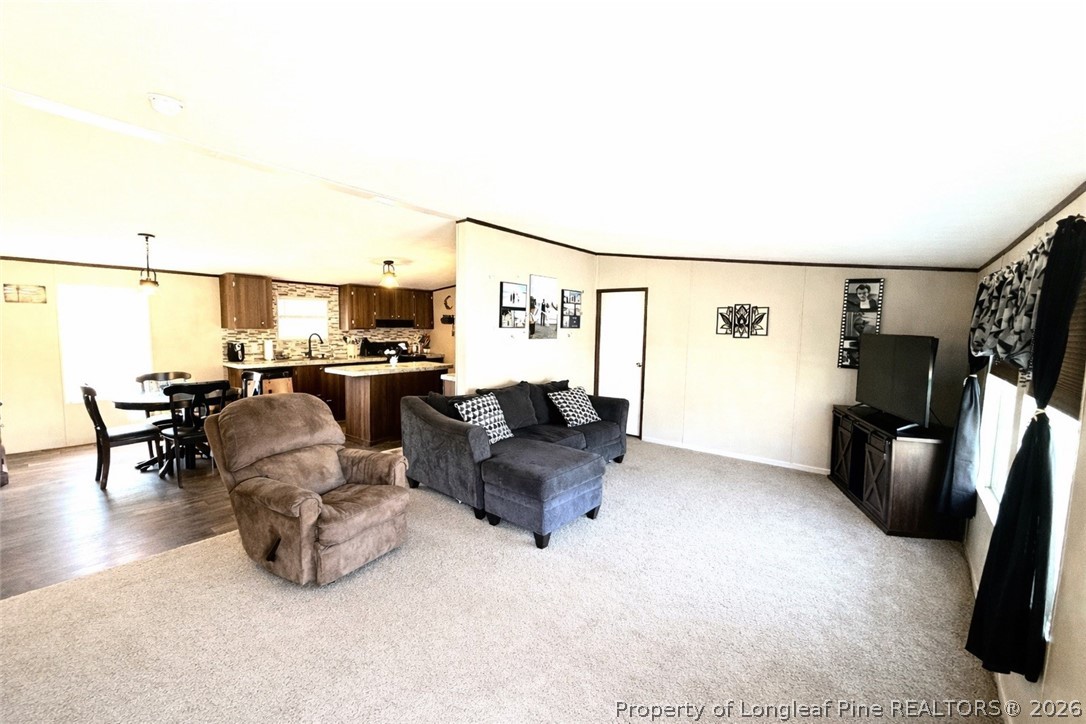 466 Ralph Hunt Boulevard Orrum, NC 28369 - Photo 3 of 20