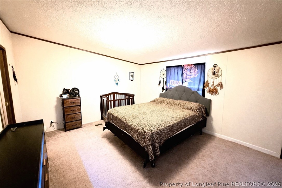 466 Ralph Hunt Boulevard Orrum, NC 28369 - Photo 10 of 20