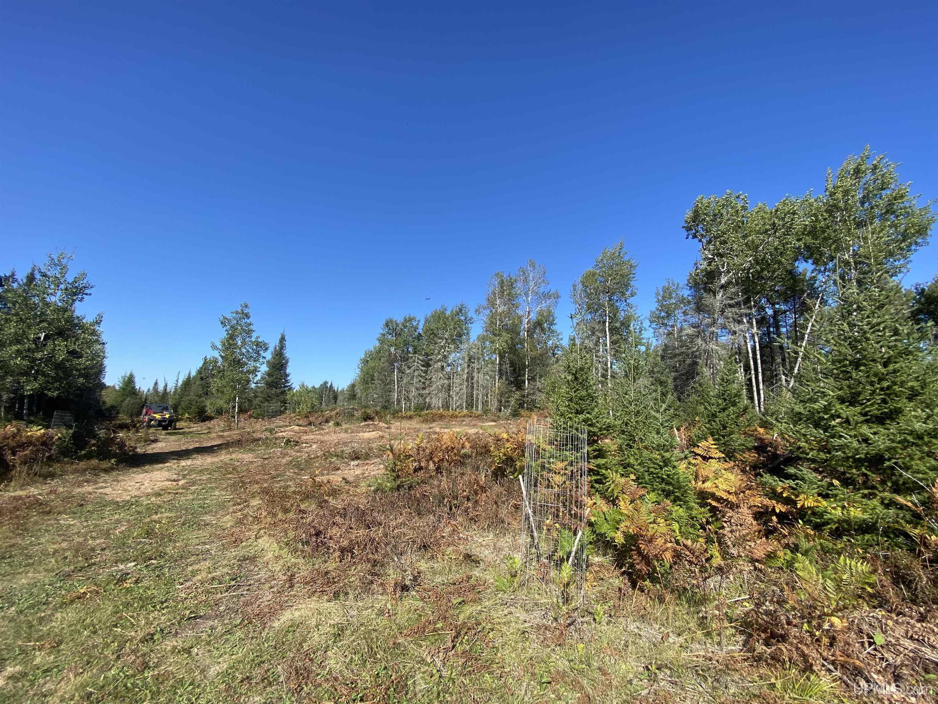 5586 South Helen Lake Road Ishpeming, MI 49849 - Photo 45 of 54