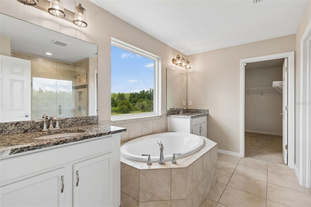 1192 Multiflora Loop Lutz, FL 33558 - Photo 18 of 32 a bathroom with a granite countertop sink mirror and a bathtub
