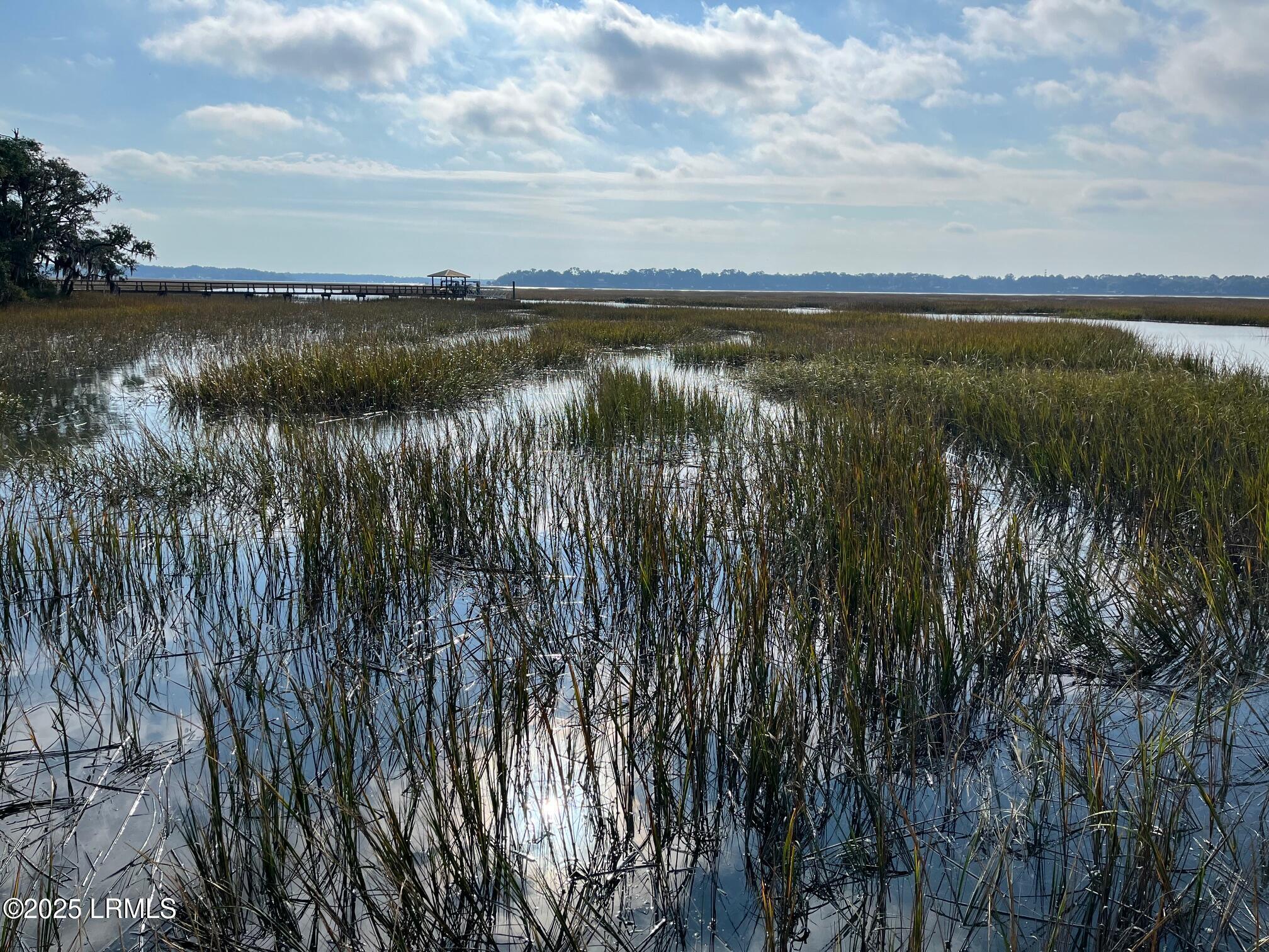 16 Riverview Drive Beaufort, SC 29907 - Photo 11 of 46 PP6