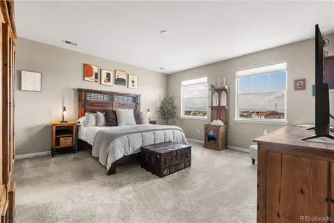 a bed room with a bed and a television