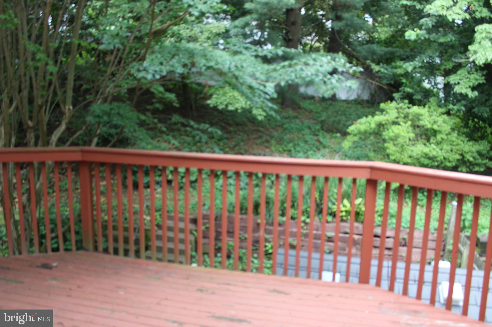 2505 Ebony Road Parkville, MD 21234 - Photo 7 of 34