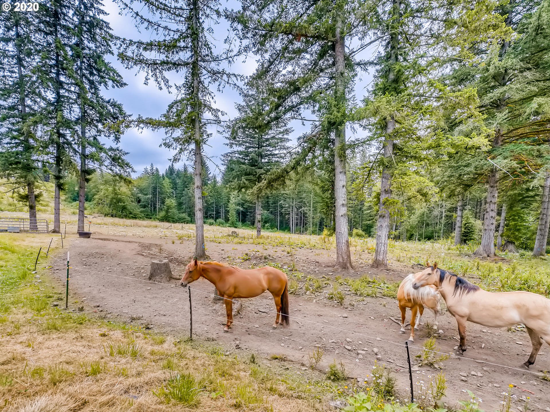 25778 South Morgan Road Estacada, OR 97023 - Photo 26 of 29