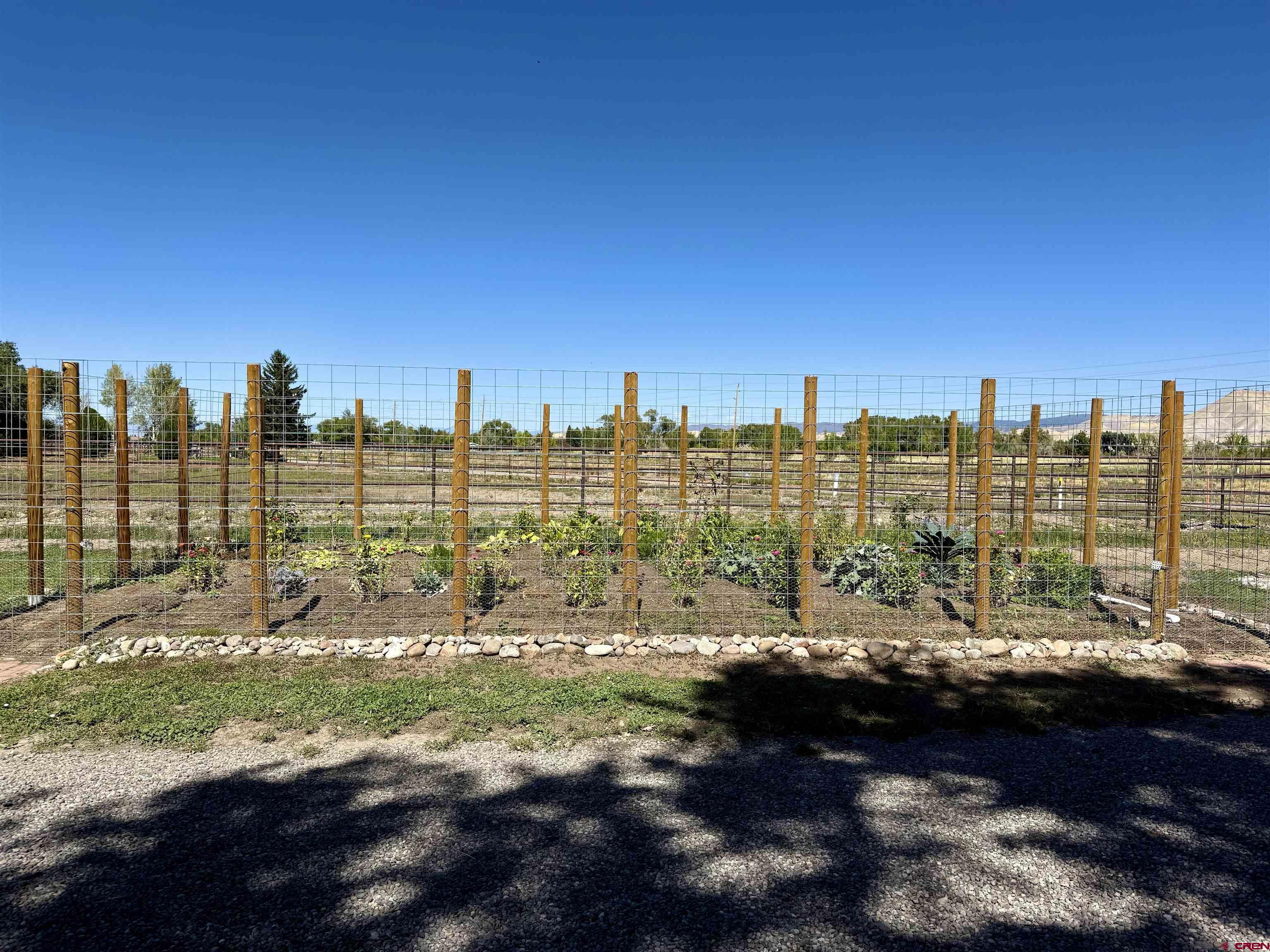 21475 Highway 550 Montrose, CO 81403 - Photo 12 of 45