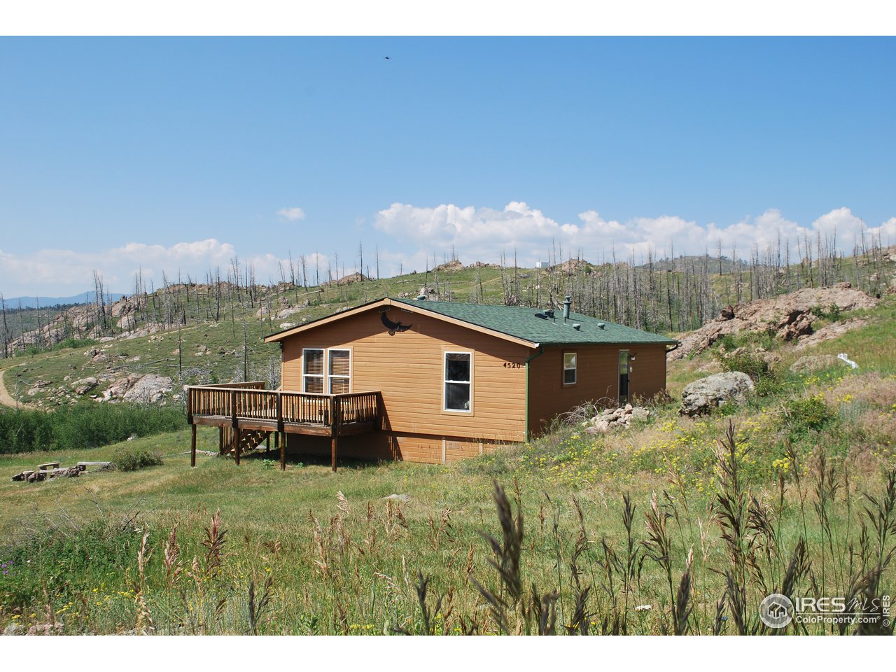 4520 Davis Ranch Road Bellvue, CO 80512 - Photo 2 of 14 a view of a backyard with plants and mountain view