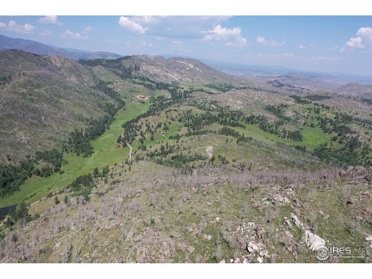 4520 Davis Ranch Road Bellvue, CO 80512 - Photo 4 of 14 a view of a dry yard with mountains in the background