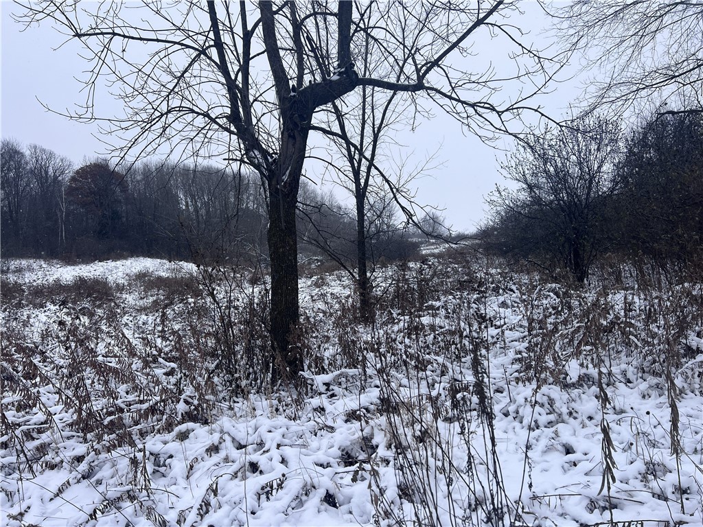 Tbd County Line Avenue Clear Lake, WI 54005 - Photo 2 of 8