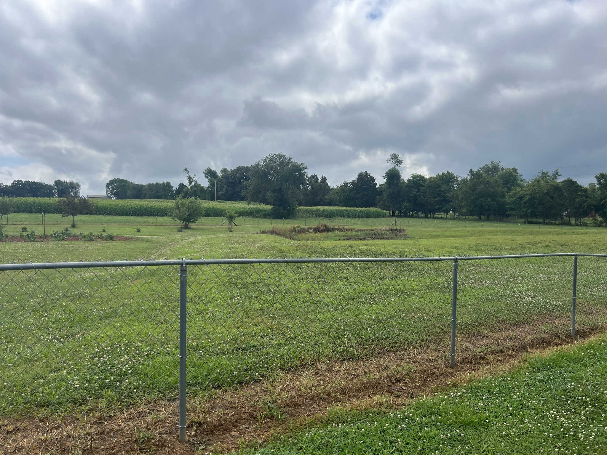 1135 North Sumner Road Bethpage, TN 37022 - Photo 18 of 34