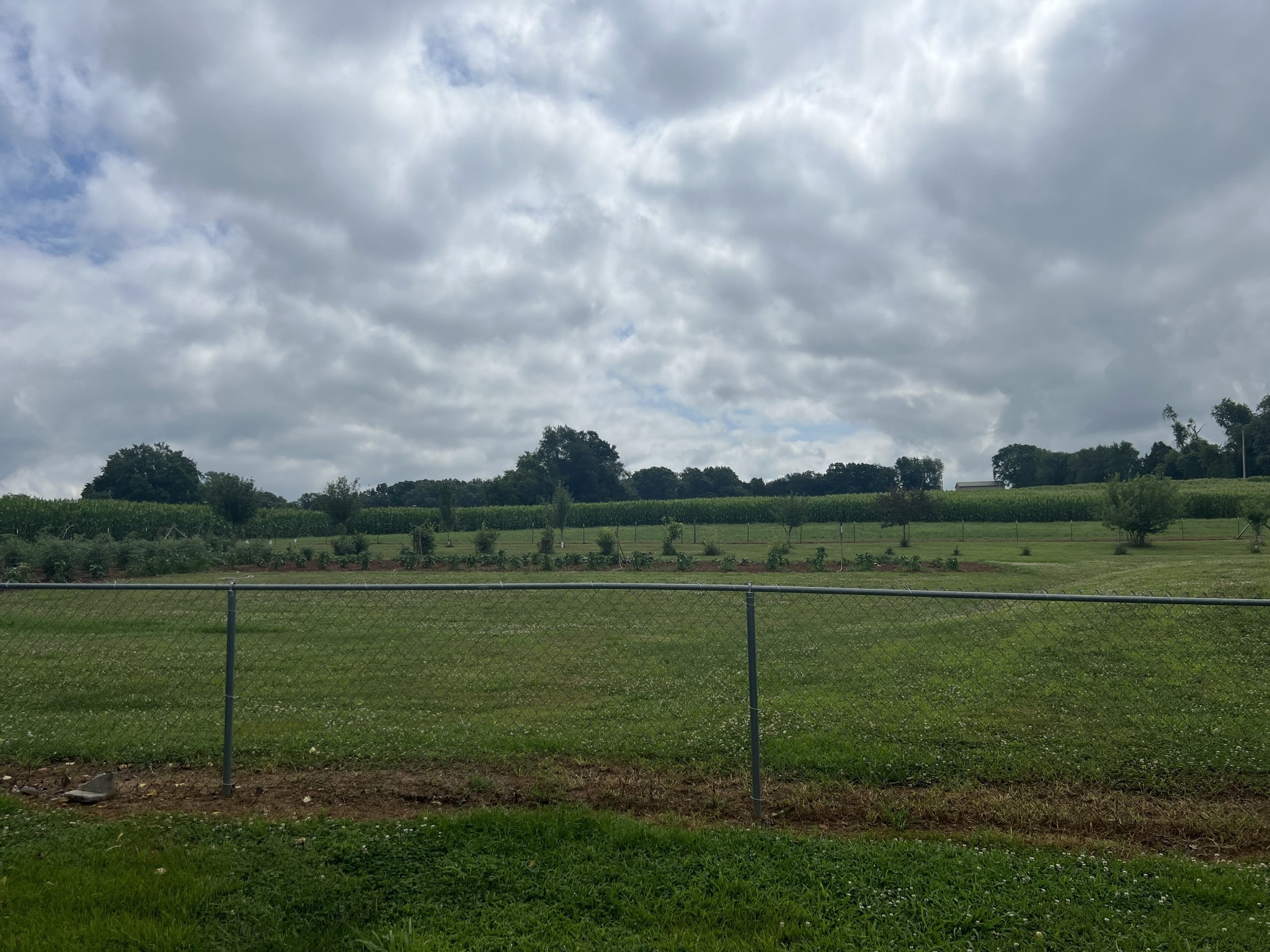 1135 North Sumner Road Bethpage, TN 37022 - Photo 19 of 34