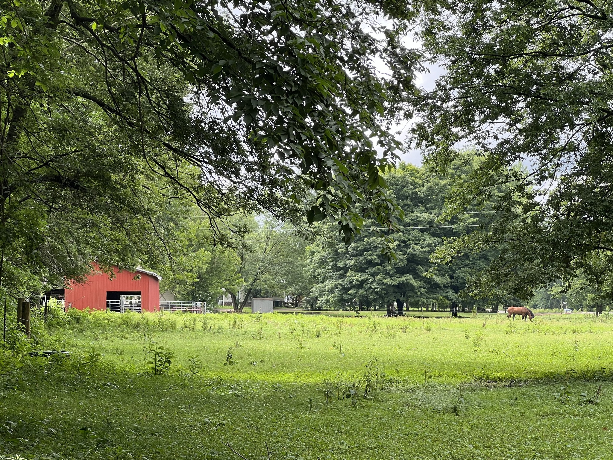 1135 North Sumner Road Bethpage, TN 37022 - Photo 2 of 34