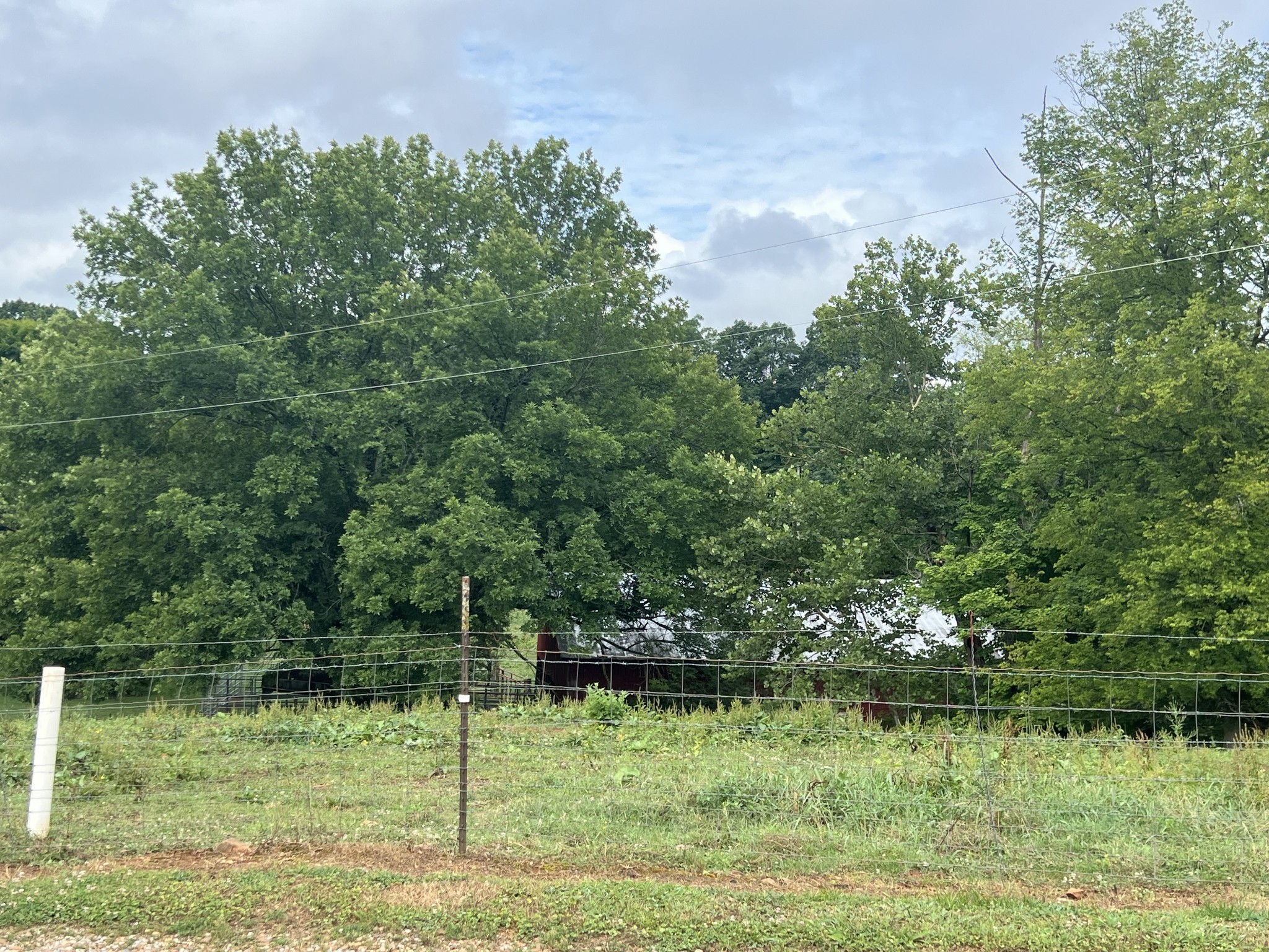 1135 North Sumner Road Bethpage, TN 37022 - Photo 27 of 34