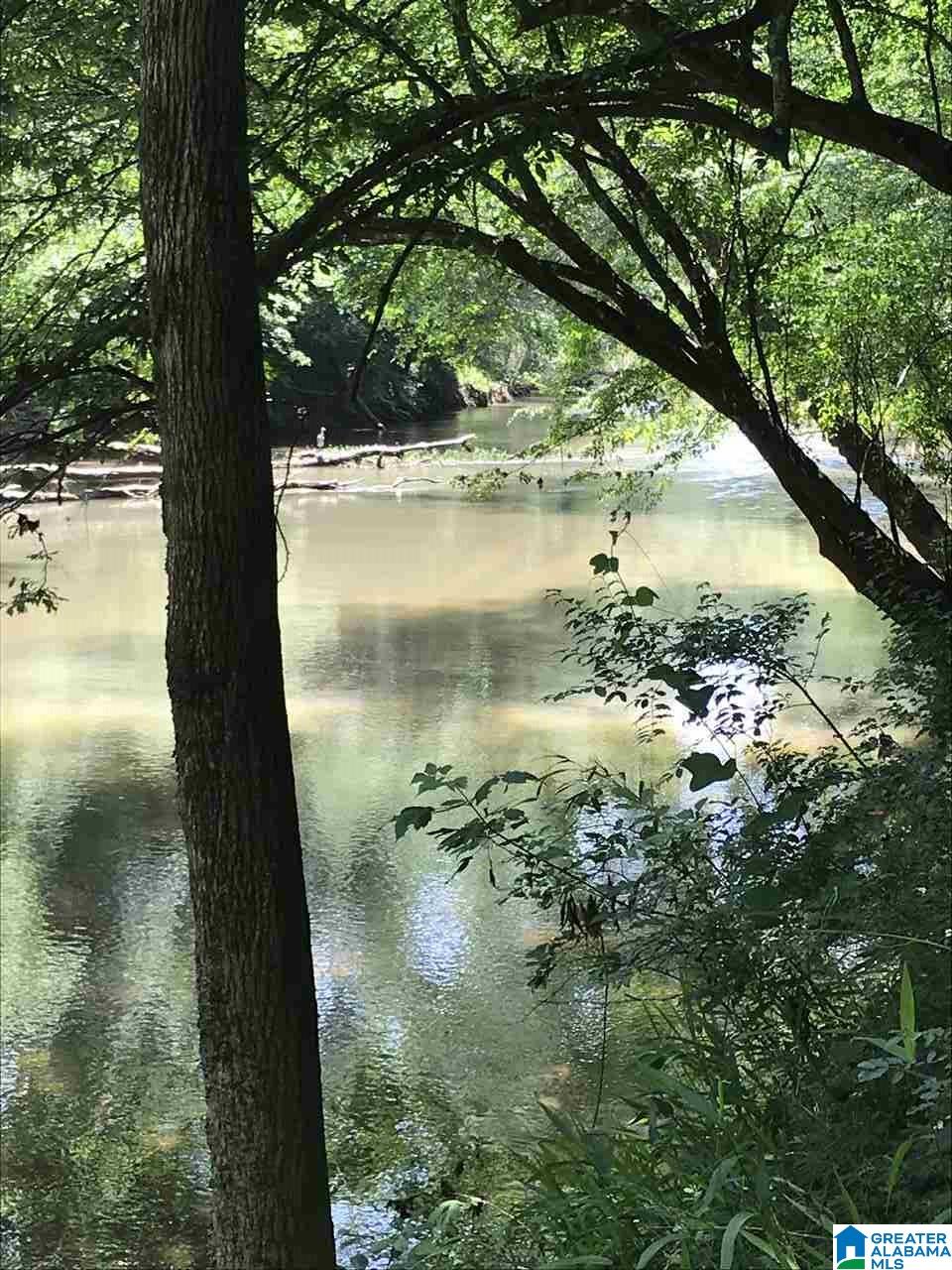 0 Highway 59 Vincent, AL 35178 - Photo 4 of 10