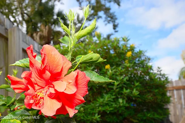 a view of a white house with a yard