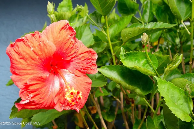 a front view of house with yard and outdoor seating