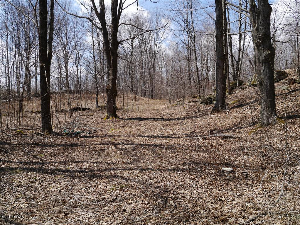 121 Daw Road Pleasant Mount, PA 18453 - Photo 21 of 26