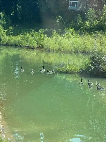 $325,000 | 5893 Midridge Drive, House Springs, MO 63051