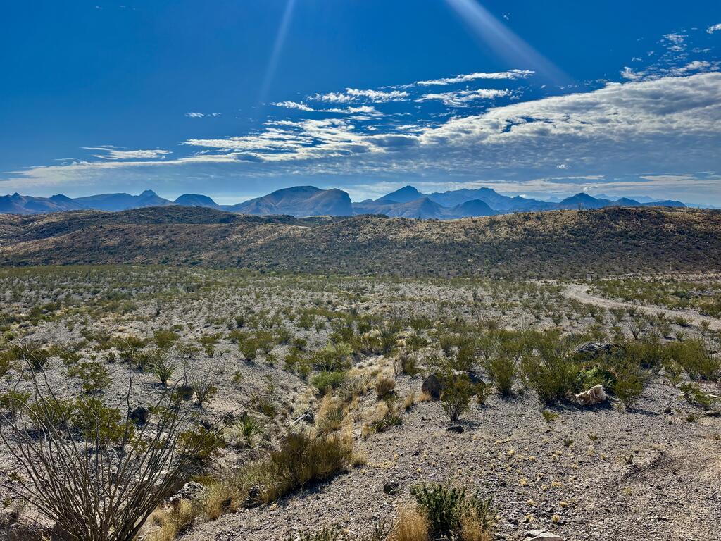 10 Kangaroo Mouse Road Alpine, TX 79830 - Photo 7 of 53 Gallery Image 7