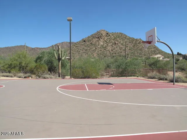 a view of a basket ball ground