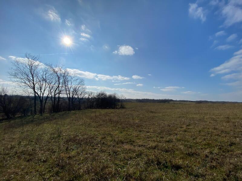 120271 Walnut Grove Road, Unit TRACT # 1 Carlisle, KY 40311 - Photo 24 of 39 24