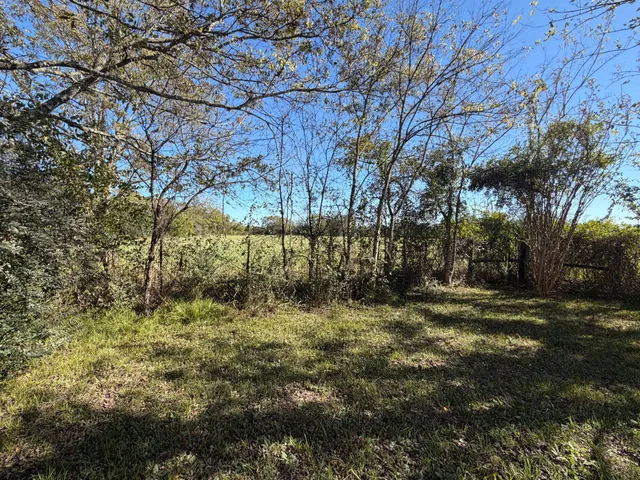 a view of a yard with large trees