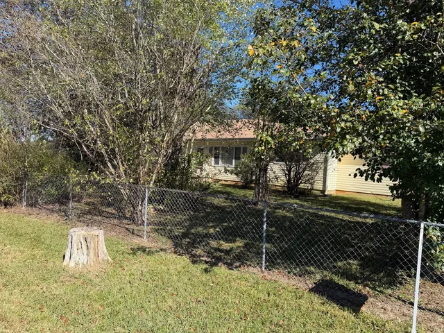 a view of a yard with plants and large trees