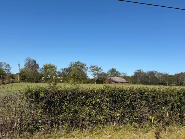 a view of mountain with green space