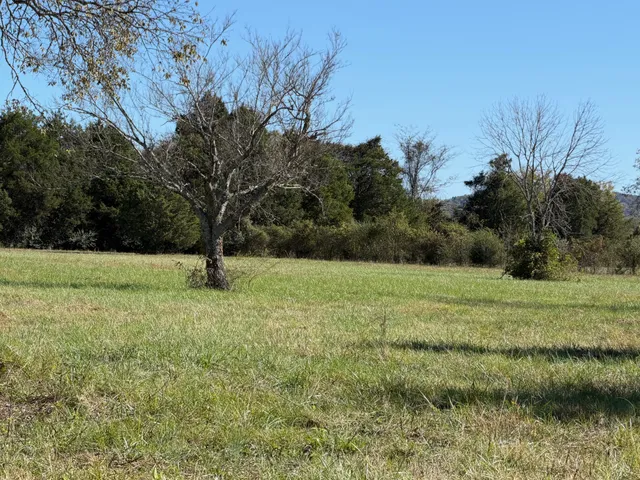 a view of a field with trees in background