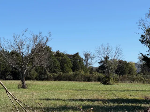 a view of a grassy field with trees