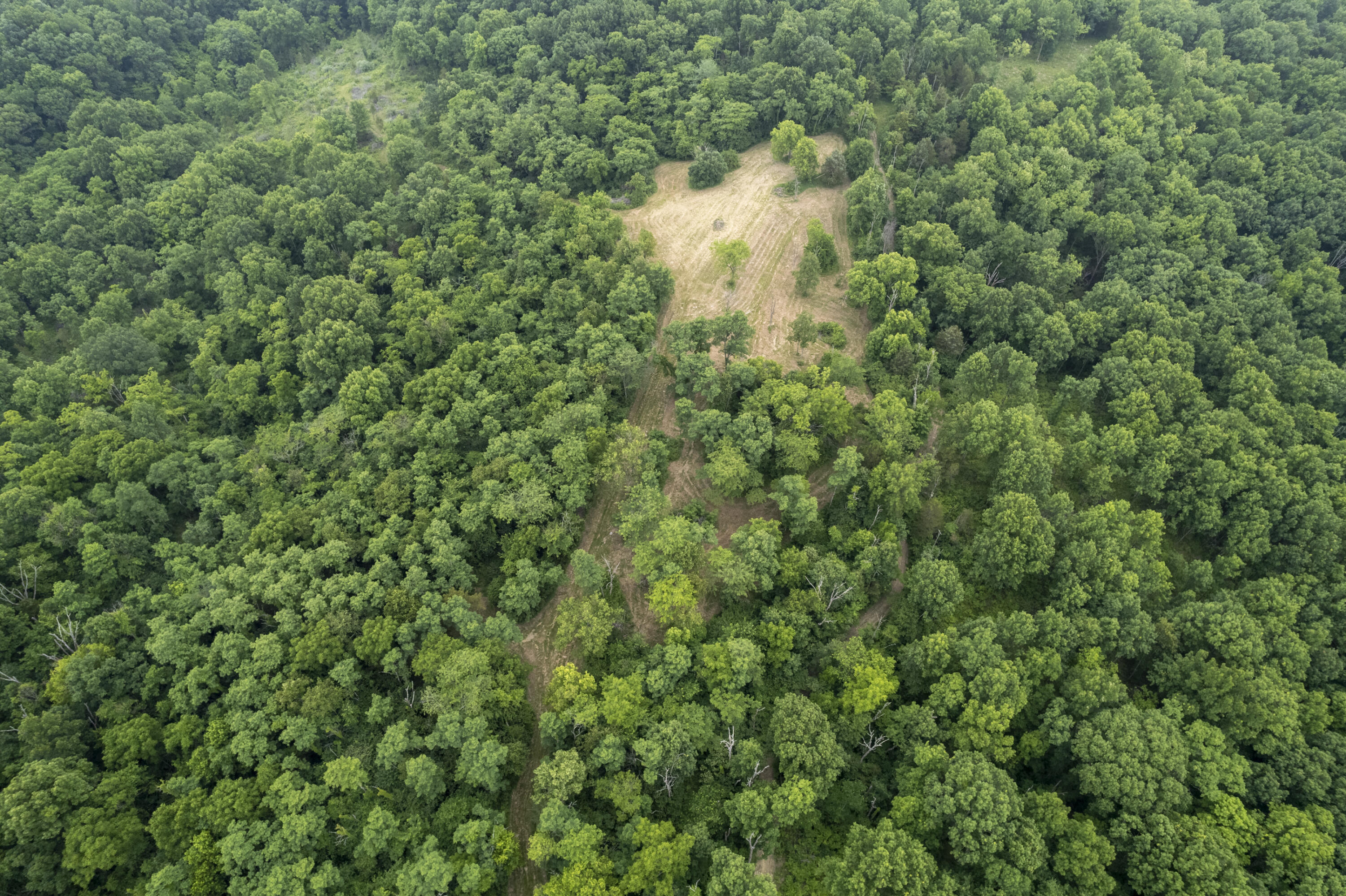 1100 Fairview Road Williamstown, KY 41097 - Photo 50 of 74 Falmouth-25