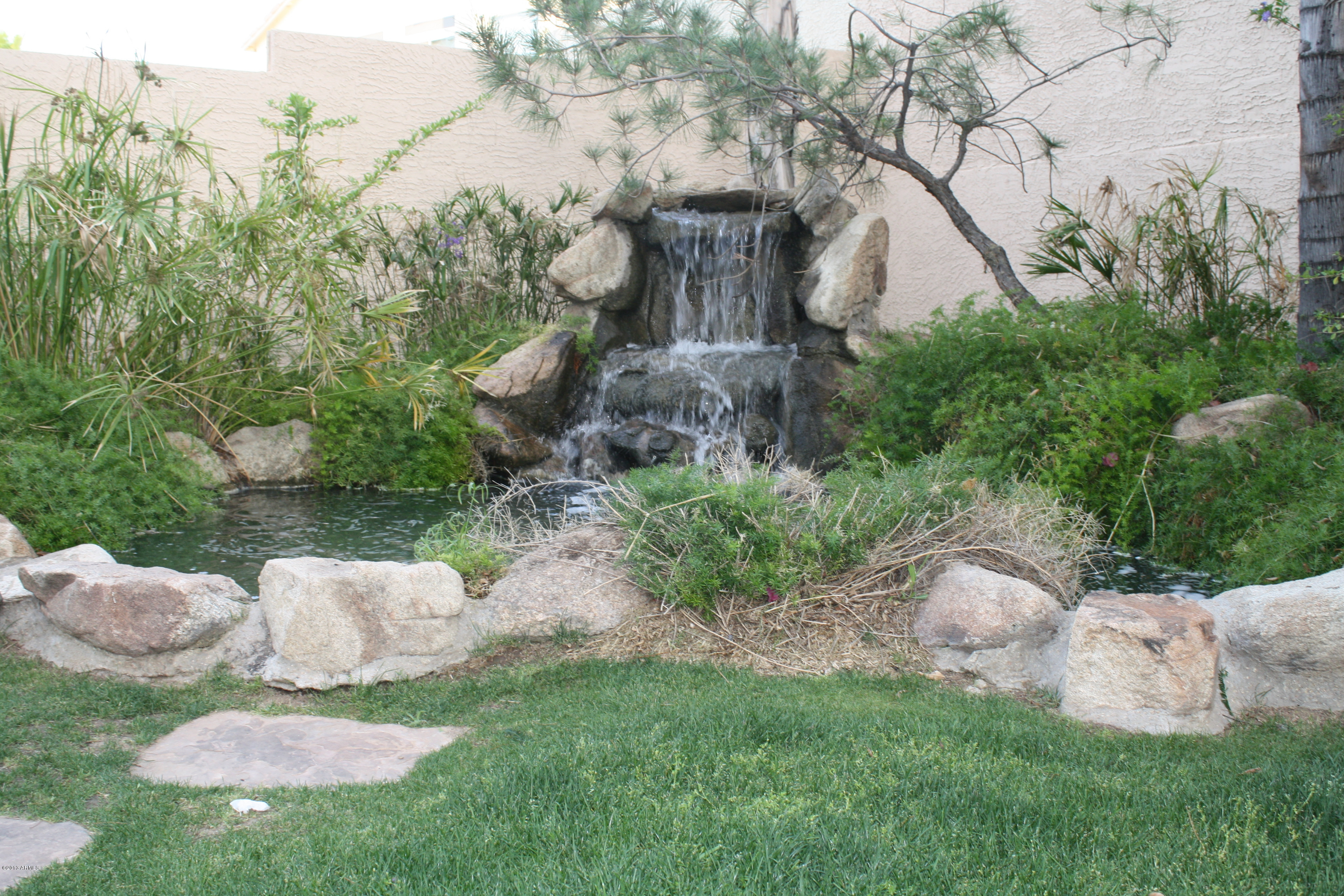 1701 East Hearn Road Phoenix, AZ 85022 - Photo 36 of 41 Backyard Pond