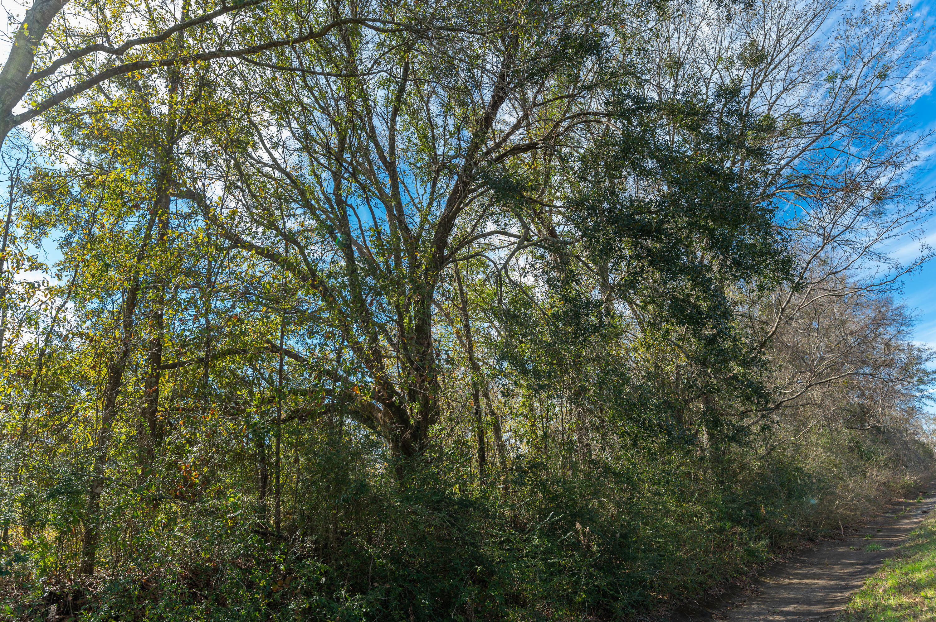 1 Hwy 4 Baker Baker, FL 32531 - Photo 11 of 11