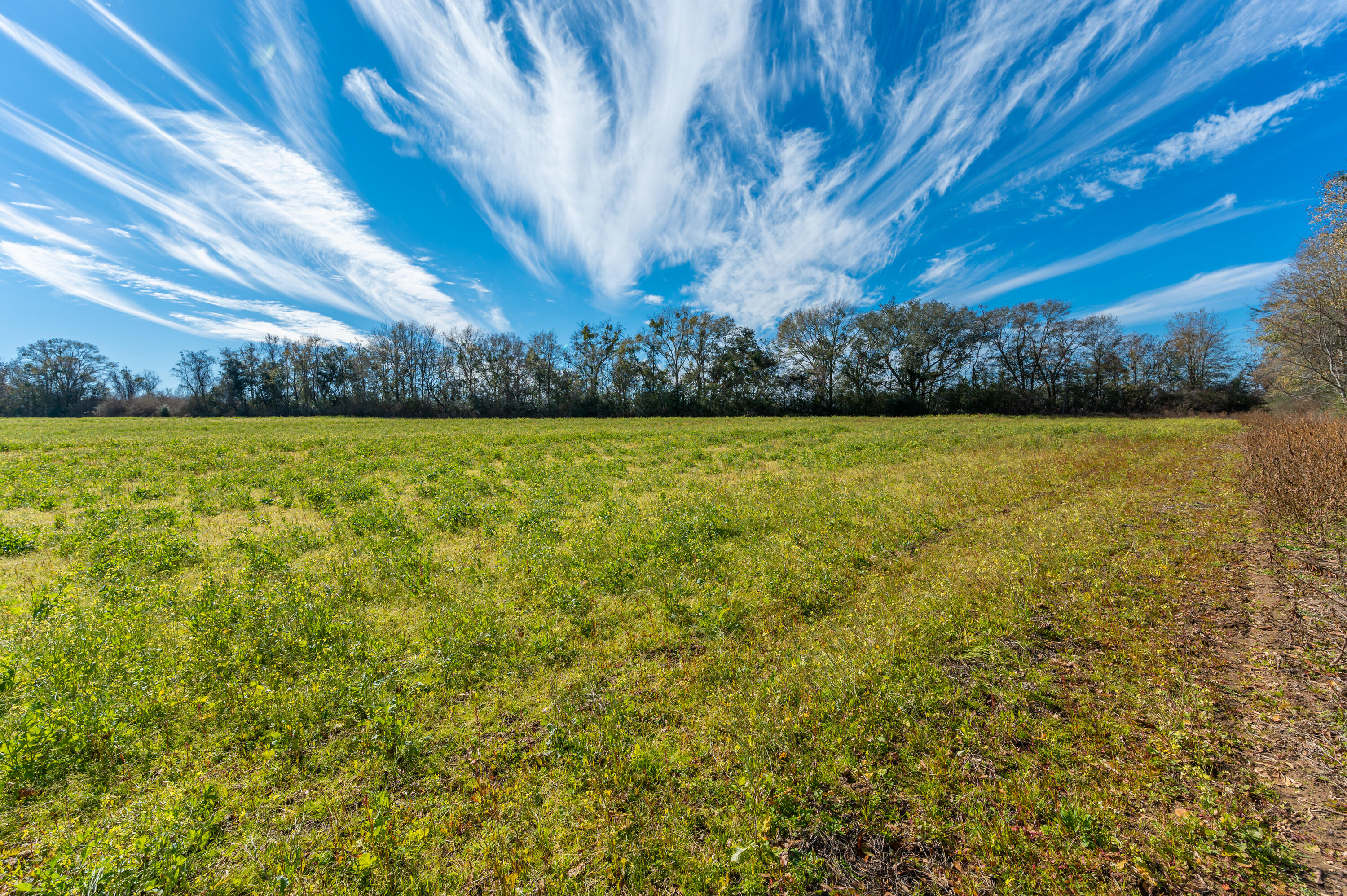 1 Hwy 4 Baker Baker, FL 32531 - Photo 6 of 11 a view of an ocean from a yard