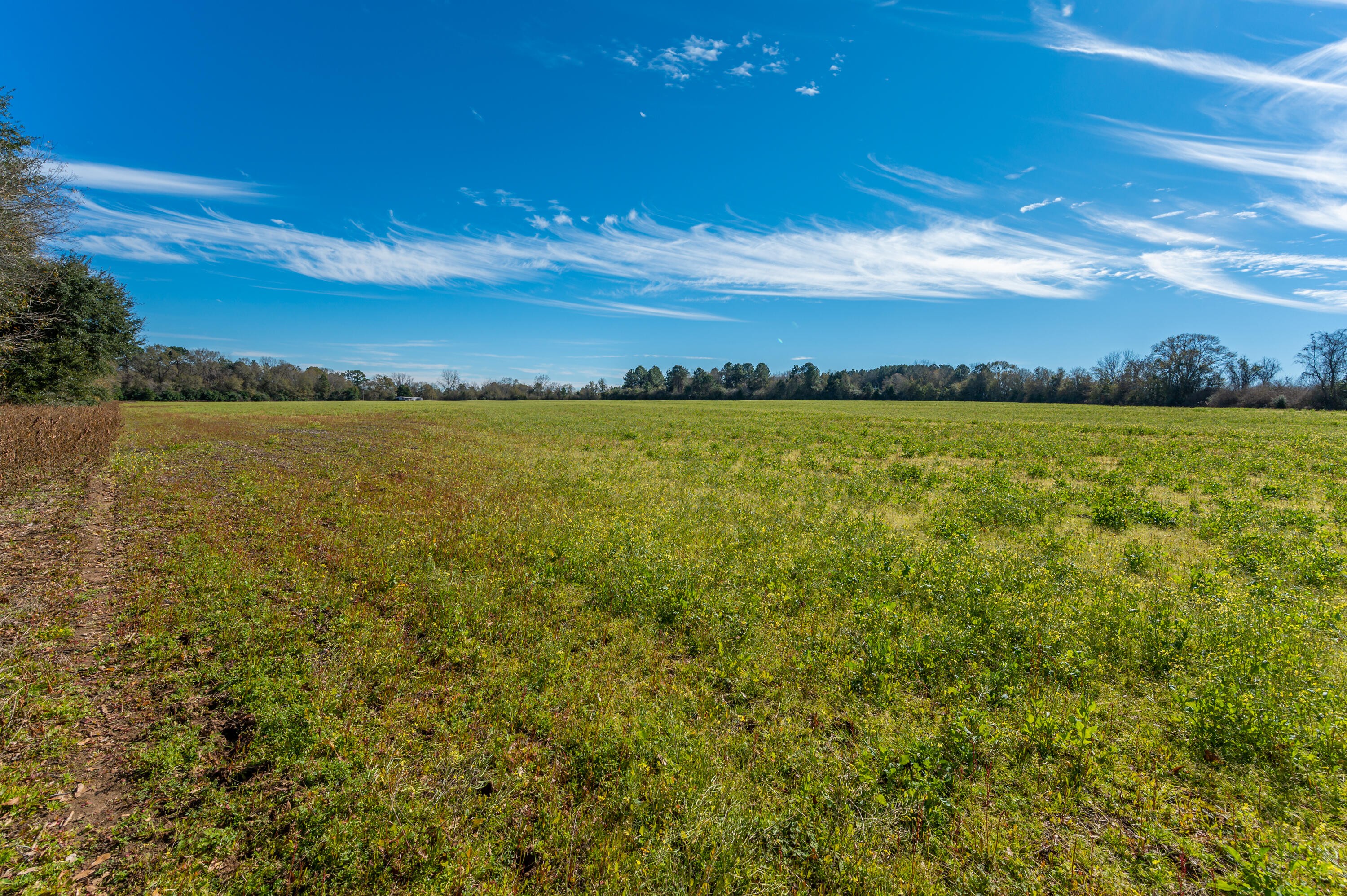 1 Hwy 4 Baker Baker, FL 32531 - Photo 8 of 11