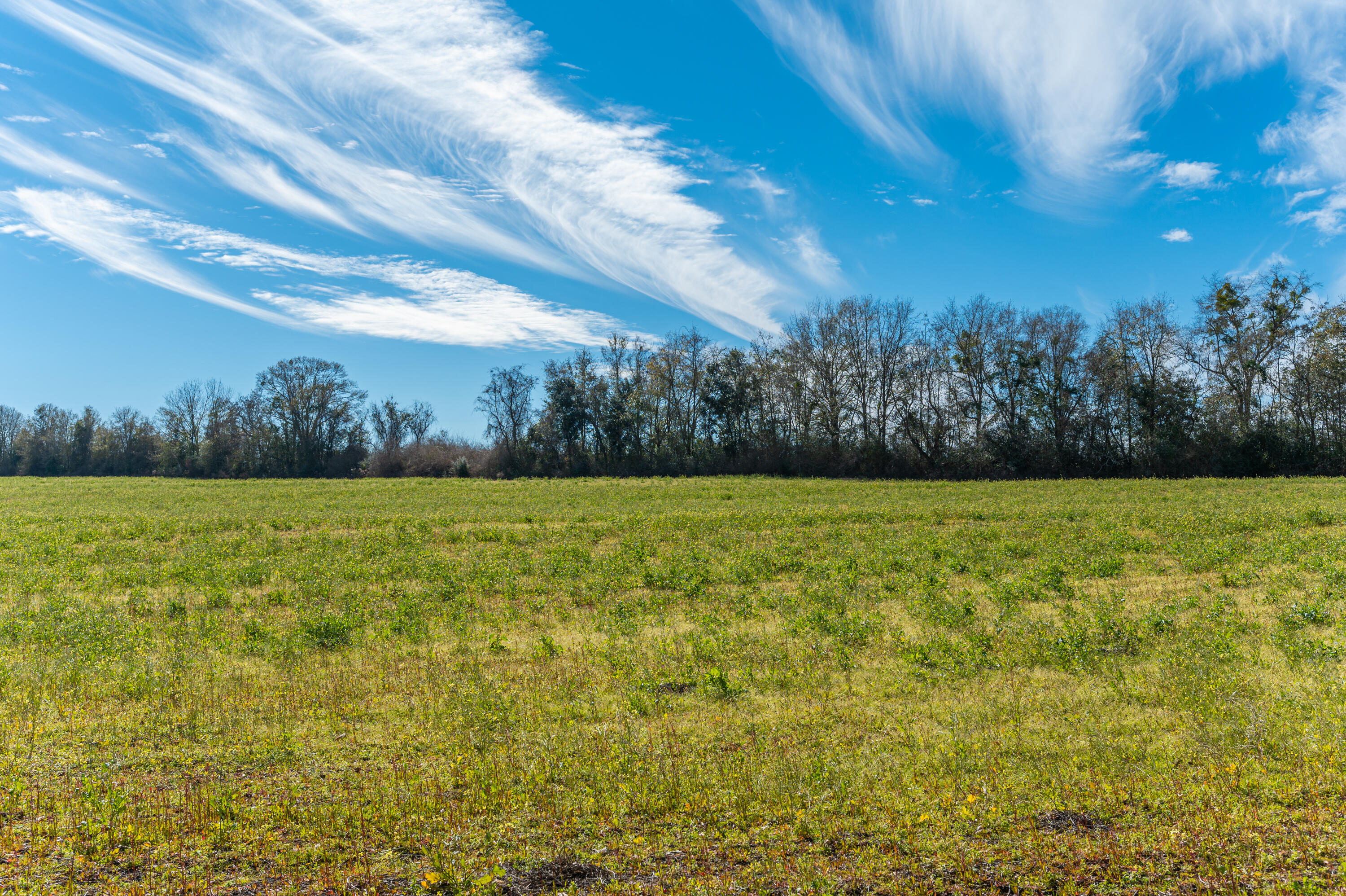 1 Hwy 4 Baker Baker, FL 32531 - Photo 9 of 11 a view of outdoor space with green field