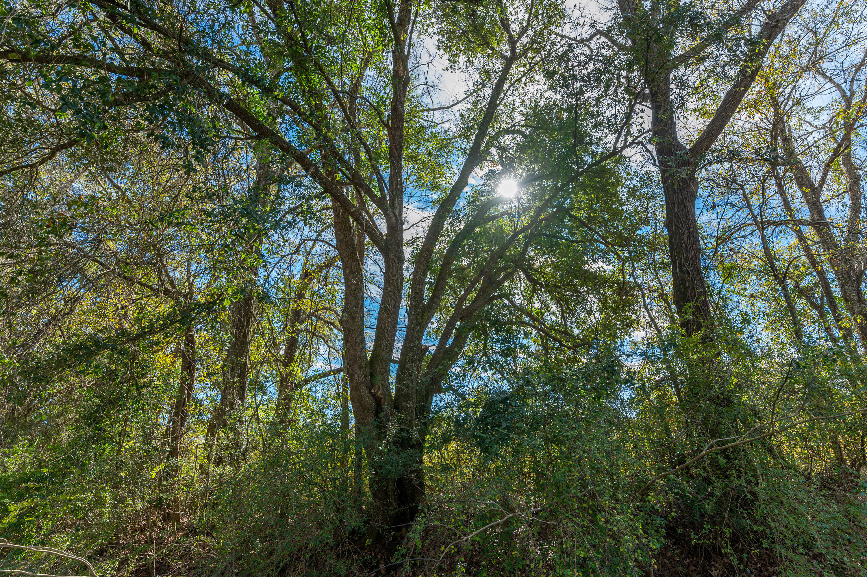 1 Hwy 4 Baker Baker, FL 32531 - Photo 10 of 11