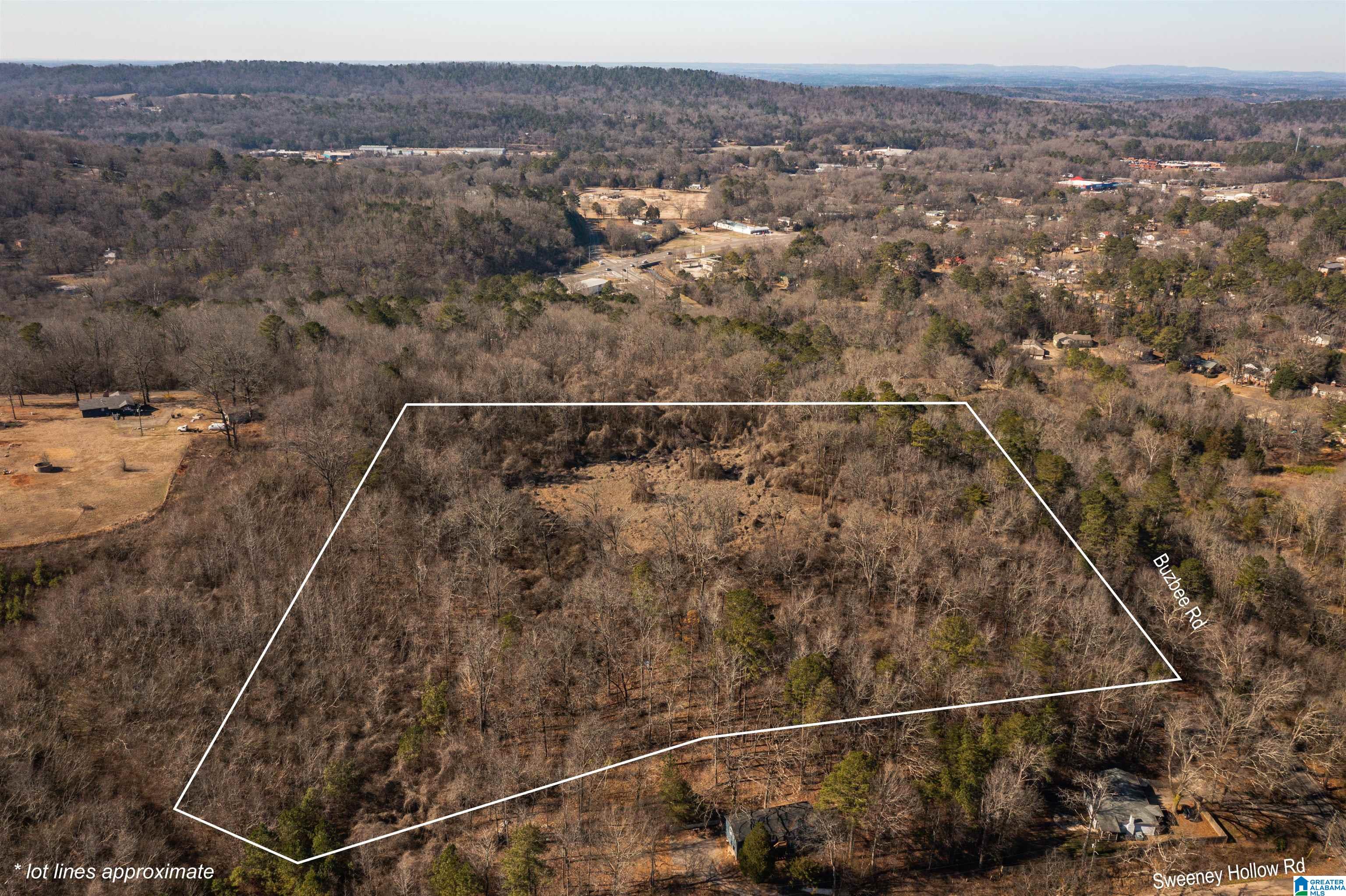 4392 Buzbee Road, Unit 1 Pinson, AL 35126 - Photo 6 of 27