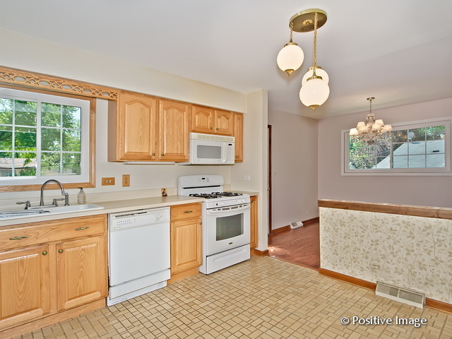 913 South Iowa Street Addison, IL 60101 - Photo 11 of 22