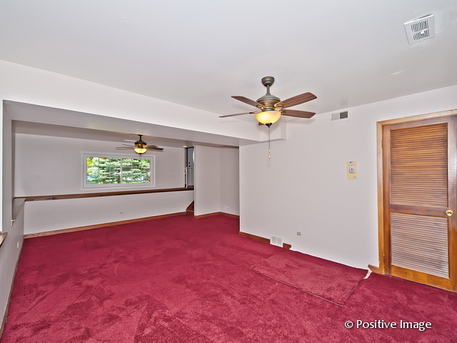 913 South Iowa Street Addison, IL 60101 - Photo 18 of 22