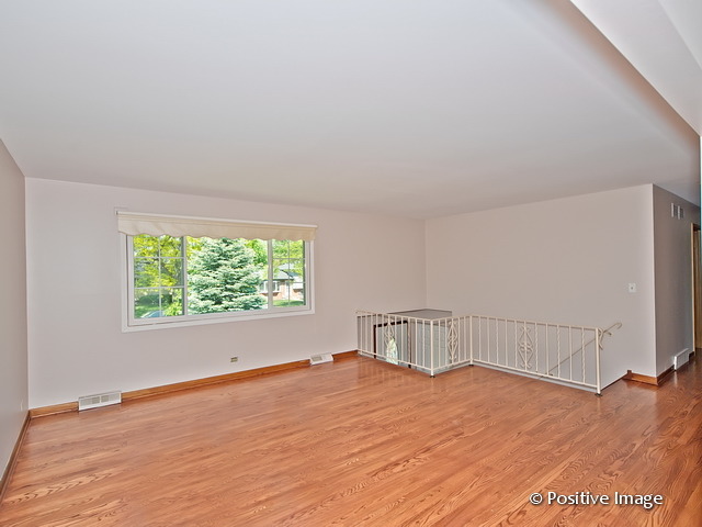 913 South Iowa Street Addison, IL 60101 - Photo 4 of 22