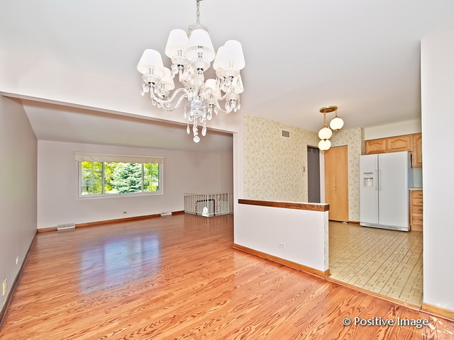 913 South Iowa Street Addison, IL 60101 - Photo 8 of 22