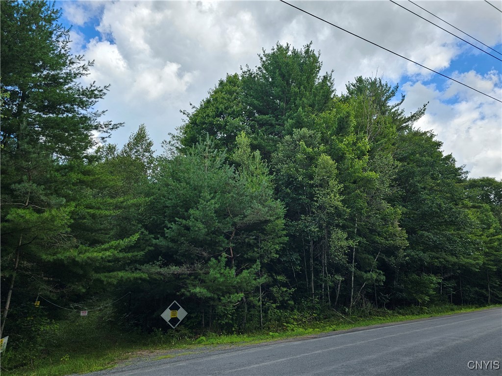 6635 Hodge Road Watson, NY 13367 - Photo 1 of 1